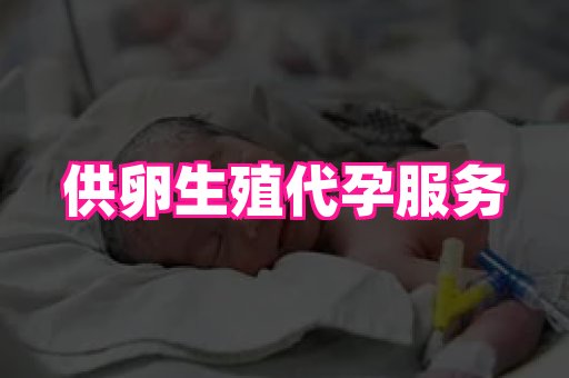 gfg孕网 1