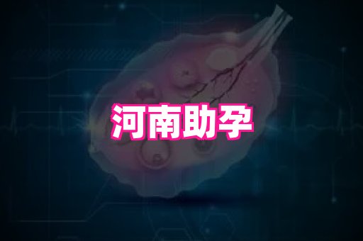 gfg孕网 2