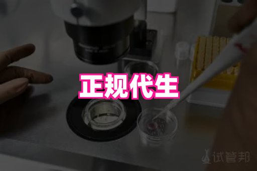 gfg孕网 4